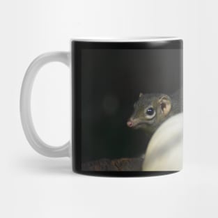 Halloween Shrew Mug